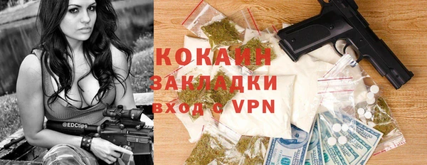 МДПВ Алзамай
