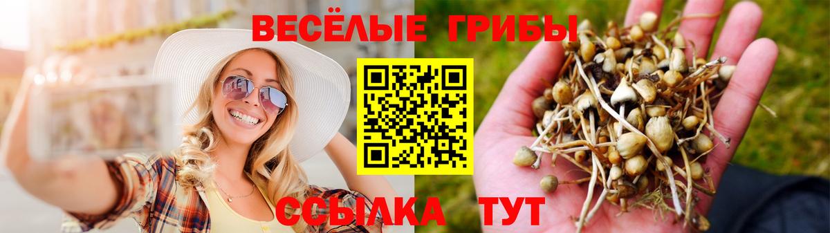 Галлюциногенные грибы GOLDEN TEACHER Алексин